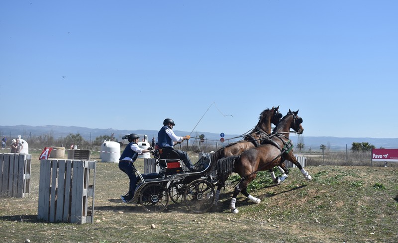 Emoción a las riendas